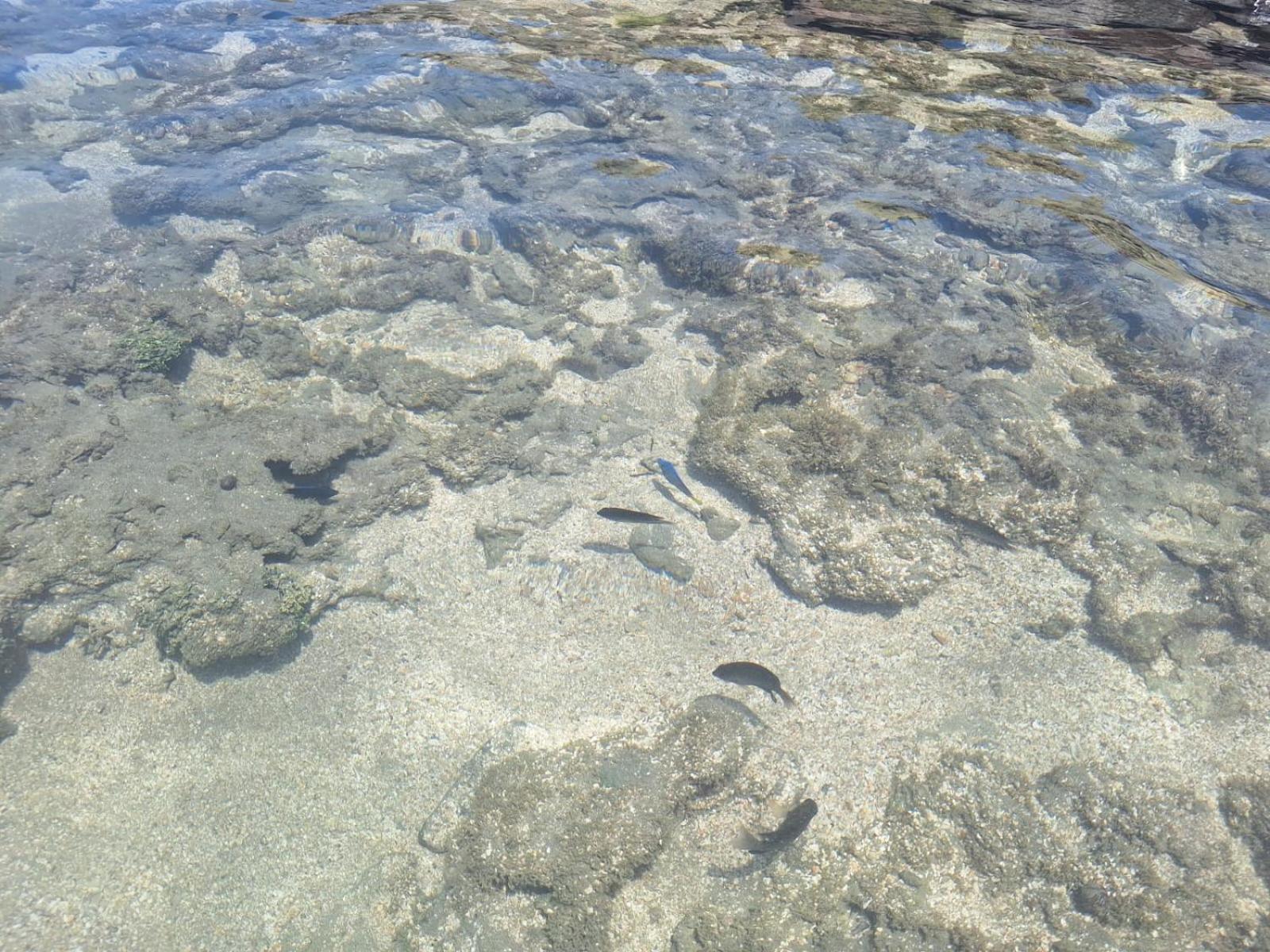 Prive Recanto Da Enseada - De Serrambi-pe Porto de Galinhas